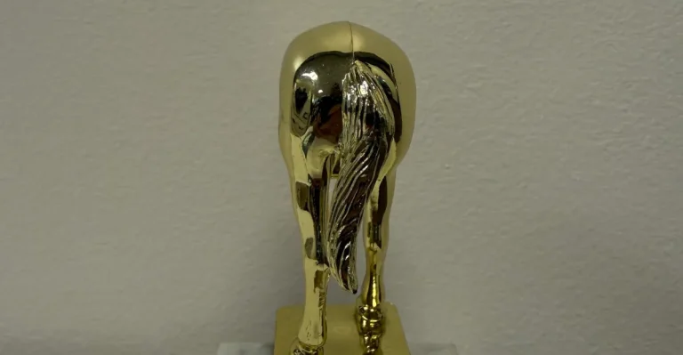 Voici le trophée de l&rsquo;imbécile à la Elon Musk