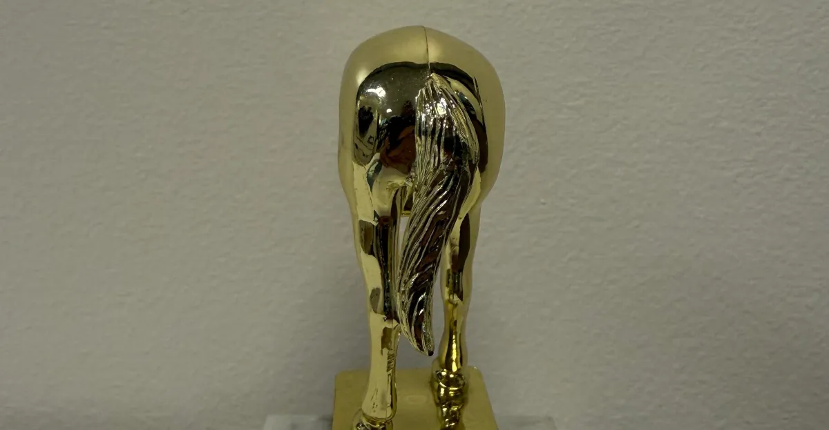 Voici le trophée de l'imbécile à la Elon Musk