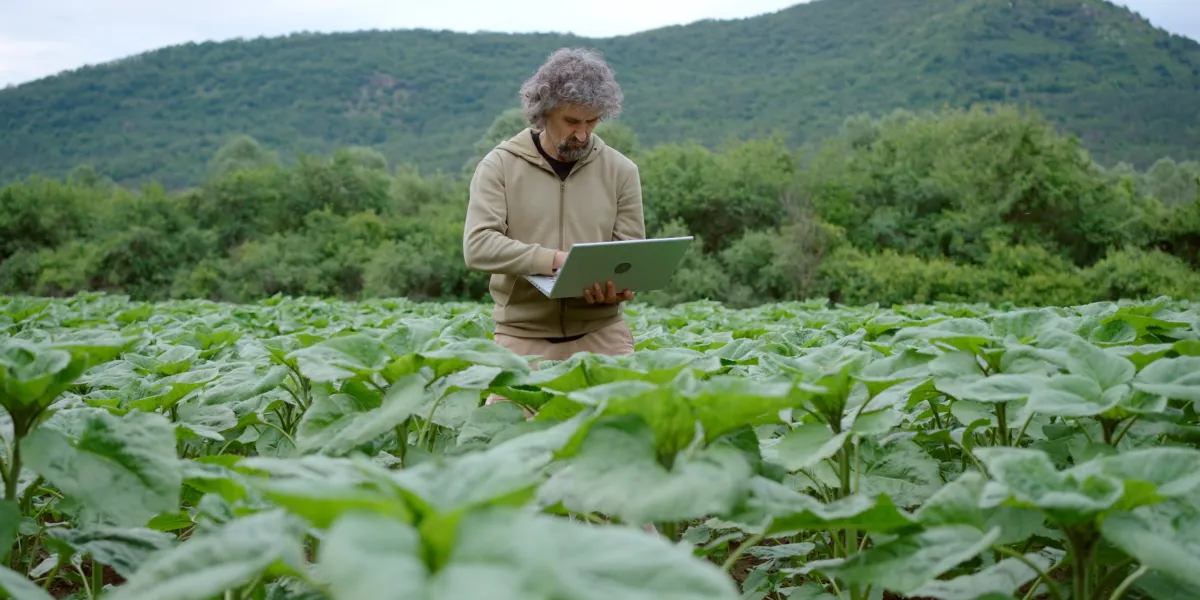 Le secteur agricole est prêt pour l'IA, mais ses données ne le sont pas