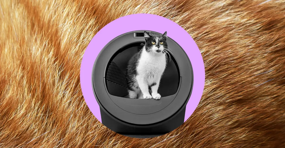 Le robot litière de Whisker, équipé d'une intelligence artificielle, pense que mes chats ont échangé leurs corps